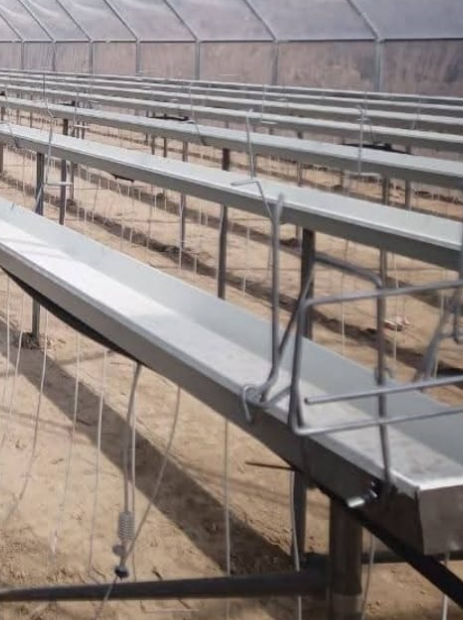 Siltumnīcas plaukti (renes) zemeņu audzēšanai, 20cm