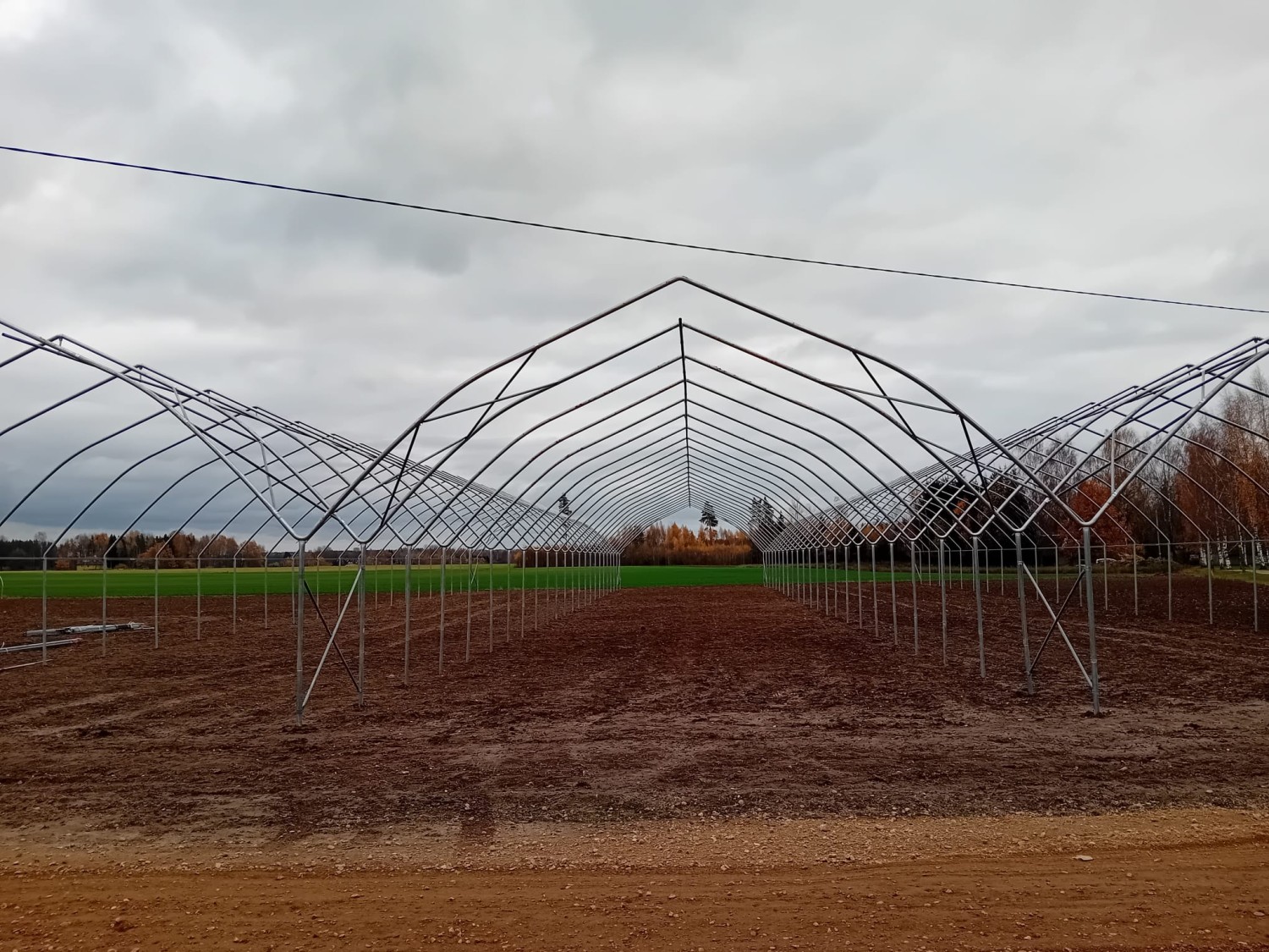 Tunnel set for growing oats 3x9x50.6 meters (with ends)