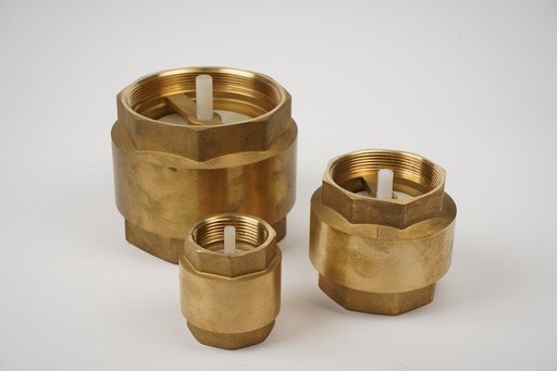 Check Valve 2 1/2" without mesh with brass disc