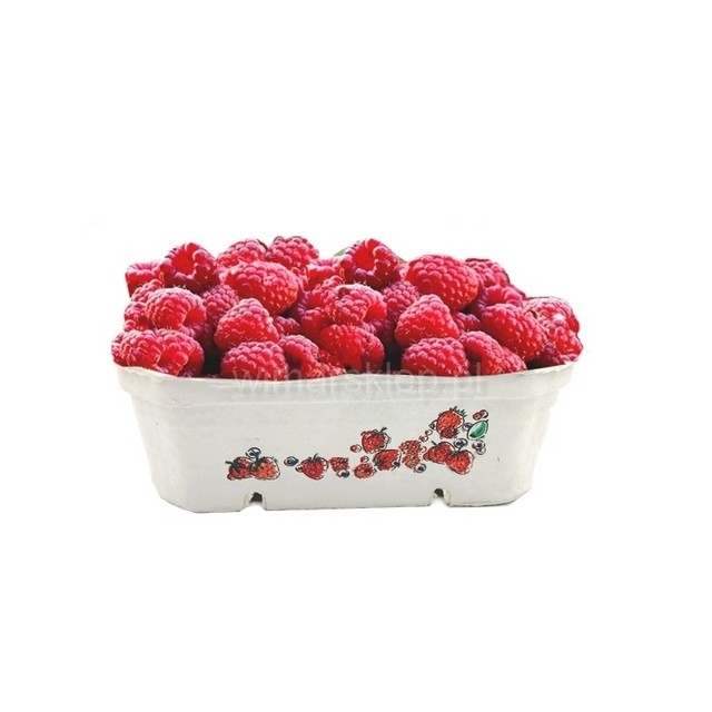 Container 500gr., strawberry