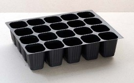 Seed Tray K2836/20