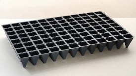 Seed Tray V6040/77