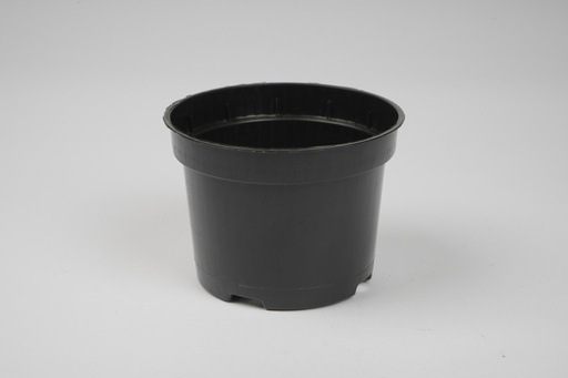 Cup 10ANY black