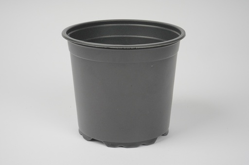 Pot 15cm 5' 1.5L black