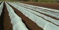 Small rural tunnel with film