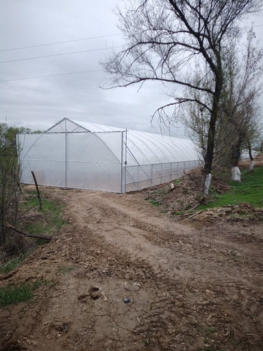 Tunnel for growing strawberries 8x100 meters (ends not included)