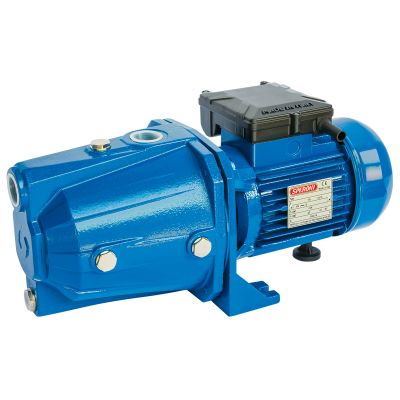 Water Pump CAM 100/A-HL 0.75 kW 230V